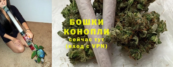 бошки Аркадак