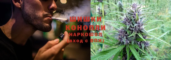 винт Армянск